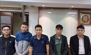 Hà Nội: Xét xử lưu động nhóm 'thổi giá' 30 tỷ đồng/m2 đất đấu giá ở Sóc Sơn