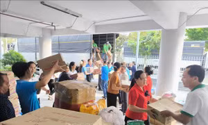 Nhật Bản, Brazil hỗ trợ Việt Nam khắc phục hậu quả bão lũ