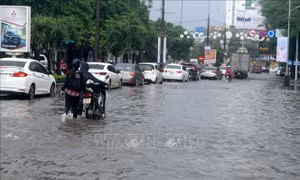 Chiều tối 7/6, các tỉnh Thanh Hóa, Kon Tum, Ninh Thuận có mưa 