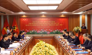 Công bố quyết định chỉ định tham gia Ban Chấp hành Đảng bộ Kiểm toán Nhà nước