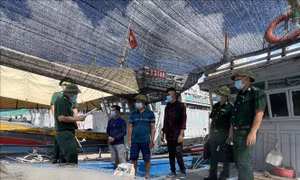 Niêm yết công khai tàu cá có nguy cơ cao vi phạm IUU