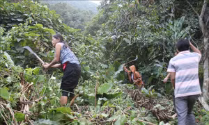 Hỗ trợ đồng bào dân tộc thiểu số xây nhà, khai hoang, phục hóa, cải tạo đất