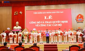 Viện Kiểm sát Nhân dân Tối cao điều động, bổ nhiệm 15 cán bộ cấp vụ