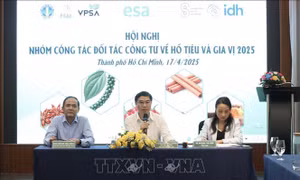 Ngành hồ tiêu tìm phương án ứng phó thách thức kép