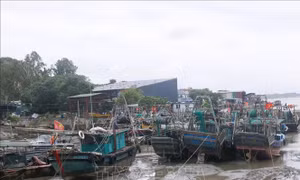 Khẩn trương ứng phó bão số 1, dồn lực bảo vệ người dân vùng nguy hiểm