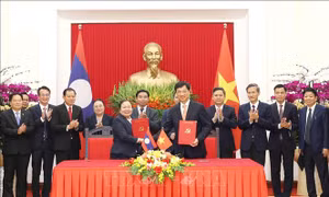 Tăng cường hợp tác giữa hai Ban Tổ chức Trung ương của Đảng Cộng sản Việt Nam và Đảng Nhân dân Cách mạng Lào