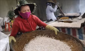 Làng bánh truyền thống hối hả sản xuất vụ Tết