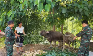 'Cú hích' giúp huyện vùng cao biên giới Mường Lát vươn lên thoát nghèo