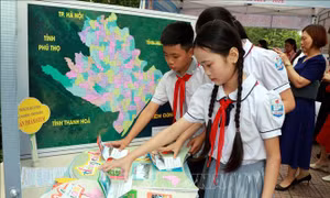 Thúc đẩy sáng tạo STEM cho học sinh tiểu học