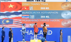 SEA Games 33: Thể thao Việt Nam tăng tốc ấn tượng, cán mốc 61 HCV
