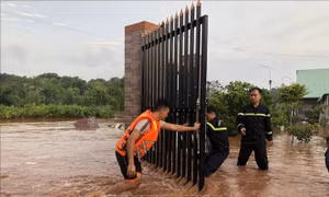 Bình Phước: Lũ đổ về bất ngờ, hàng chục hộ dân bị mắc kẹt giữa dòng nước lớn