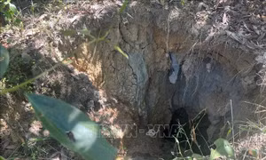 https://cdnmedia.baotintuc.vn/Upload/YZmStSDTjb0M07hFJ2gA/files/2026/07/1/dong-lam-100726-3.jpg