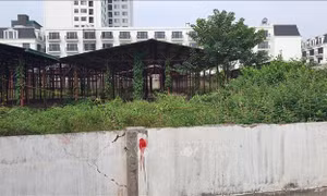 Đừng biến chợ thành nơi bỏ hoang!