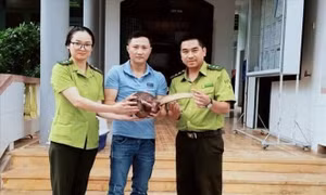 Quảng Trị cứu hộ 5 cá thể động vật hoang dã nguy cấp