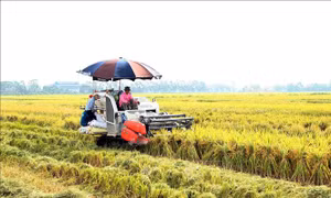 'Chiếc cần câu' của nhà nông