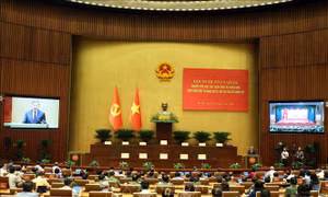 Thống nhất nhận thức, nắm vững điểm mới và mối quan hệ hữu cơ giữa các nghị quyết, chỉ thị của Bộ Chính trị