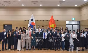 Tăng cường gắn kết cộng đồng, phát huy nguồn lực người Việt tại Hàn Quốc
