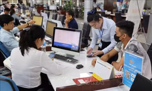 Nghị quyết của Chính phủ về cải thiện môi trường kinh doanh