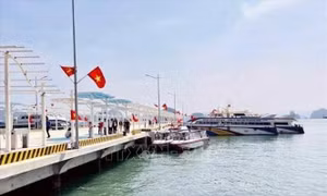 Miễn, giảm giá vé cho cư dân tuyến đảo Cô Tô, Vân Đồn khi qua bến cảng Ao Tiên