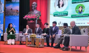 Đề xuất chủ trương đưa ngành năng lượng tái tạo, năng lượng mới phát triển