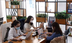 Chương trình đổi mới công nghệ quốc gia thúc đẩy doanh nghiệp đổi mới sáng tạo