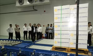 Khai trương nhà máy chiếu xạ nông sản 1.000 tấn sản phẩm/ngày đêm
