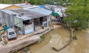 Cần Thơ triển khai đồng bộ giải pháp phòng, chống sụt lún, sạt lở và xâm nhập mặn