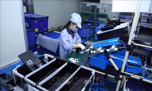 Đông Nam Á lập kỷ lục thu hút vốn FDI nhờ làn sóng dịch chuyển chuỗi cung ứng