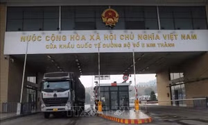 Sôi động xuất khẩu trái cây qua cửa khẩu dịp Tết