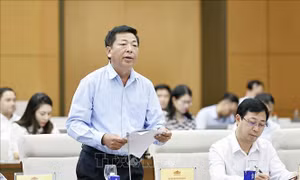 Kiểm soát chặt chẽ thiết kế đô thị đối với các dự án bất động sản quy mô lớn