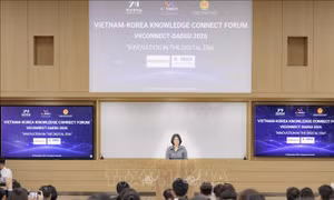 Diễn đàn kết nối tri thức Việt Nam - Hàn Quốc (VK connect 2026)