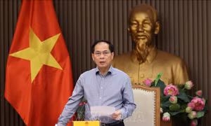 Phó Thủ tướng Bùi Thanh Sơn họp Ban Chỉ đạo quốc gia về ODA và vốn vay ưu đãi