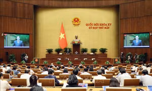 Thông cáo báo chí số 5, Kỳ họp thứ 7, Quốc hội khóa XV​