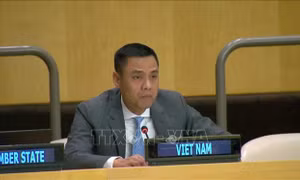 Việt Nam chia sẻ tầm quan trọng của thúc đẩy văn hóa hòa bình tại LHQ