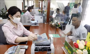 Chính sách cho vay hỗ trợ tạo việc làm