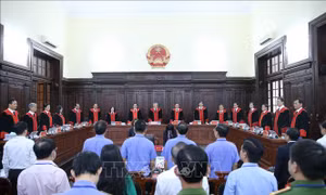 Lấy ý kiến về phương án tổ chức Tòa án nhân dân