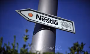 Chi nhánh Nestlé tại Pháp bị buộc tội liên quan đến bánh pizza nhiễm khuẩn