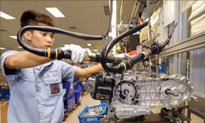 Báo Bỉ: Việt Nam là đối tác phát triển bền vững và điểm đến đầu tư của EU tại Đông Nam Á