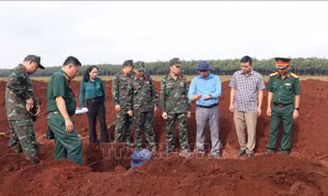 Đồng Nai tăng cường lực lượng tìm kiếm hài cốt liệt sĩ tại xã Minh Đức