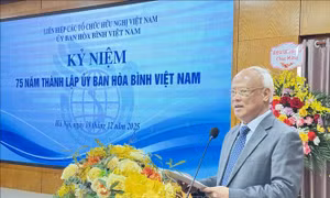 Ủy ban Hòa bình Việt Nam với những dấu ấn nổi bật trong lịch sử đối ngoại nhân dân
