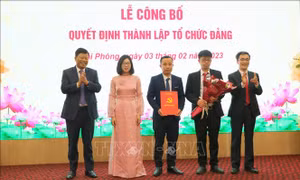Tổ chức đảng là cầu nối để doanh nghiệp đến gần hơn với các chủ trương của Đảng