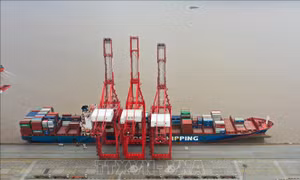 Giá cước vận chuyển hàng qua đường biển tiếp tục tăng cao