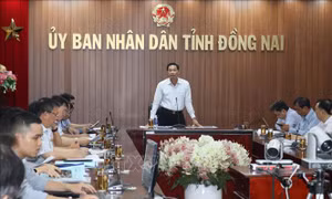 Đồng Nai: Gỡ khó để đấu giá hơn 470 ha đất trong năm 2024