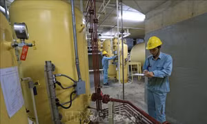 Từ 15/4, sẽ tiến hành điều tra doanh nghiệp năm 2022 trên phạm vi cả nước