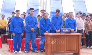 Xét xử công khai 5 đối tượng hủy hoại rừng để làm nương rẫy