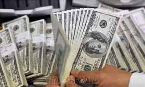Năm 2022, giá trị tài sản của các quỹ đầu tư quốc gia giảm 2.200 tỷ USD