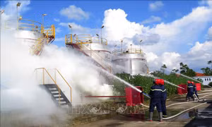 Ban hành Nghị định thi hành Luật Phòng cháy, chữa cháy và cứu nạn, cứu hộ