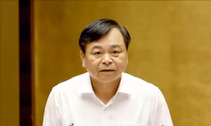 Tăng quyền chủ động cho địa phương trong thực hiện nhiệm vụ nông nghiệp và môi trường
