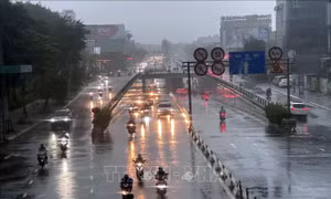 Từ ngày 12/1 - 10/2, tiếp tục mưa diện rộng tại Trung Bộ và Tây Nam Bộ
