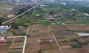 Ban hành Nghị quyết về đấu giá quyền sử dụng đất